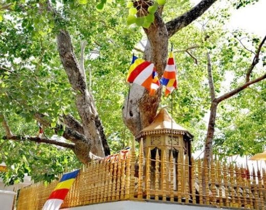 Historical and Honorable Places in Sri Lanka