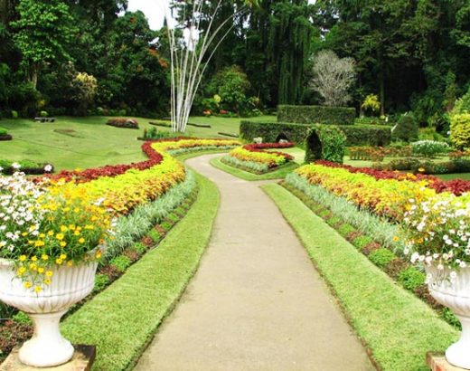 Peradeniya Botanical Gardens