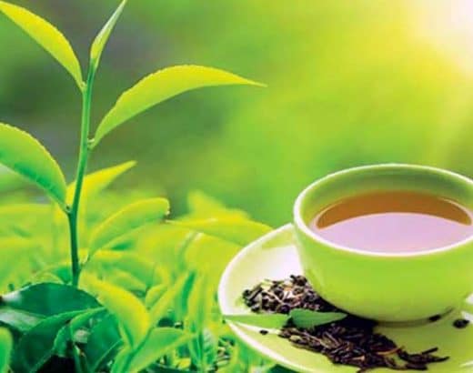 The World Famous Ceylon Tea in Sri Lanka