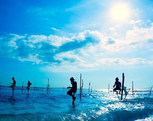 Travel Places in The South Sri Lanka